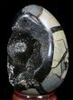Septarian Dragon Egg Geode - Black Calcite Crystals #33995-2